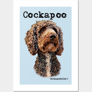 Brown and White Cockapoo / Spoodle and Doodle Dog Posters and Art